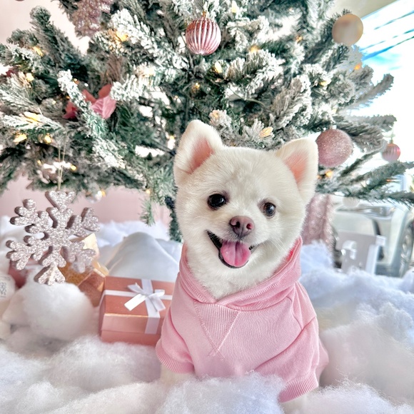 Meet your Posher, Trinity - Picture 1 of 1